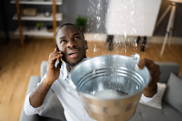 Water damage restoration mold remediation in FL