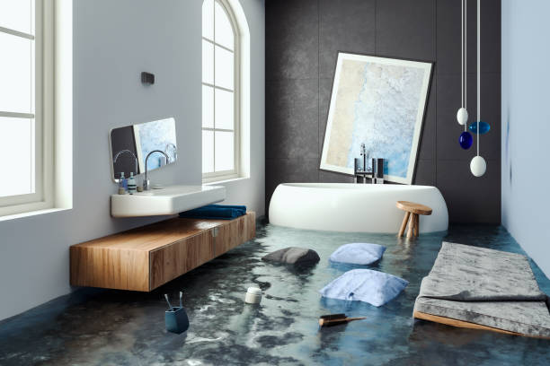 Best Basement water damage restoration  in Mangonia Park, FL