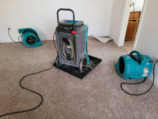 Best Water damage restoration cost  in Mangonia Park, FL