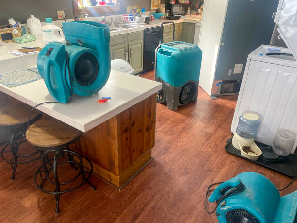 Best Professional water damage repair  in Mangonia Park, FL