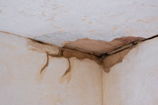 Best Sewage cleanup and water damage restoration  in Mangonia Park, FL