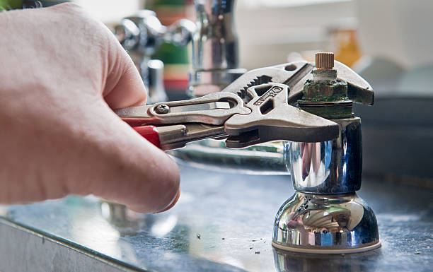 Best Flood restoration services  in Mangonia Park, FL