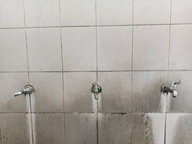 Best Water damage restoration mold remediation  in Mangonia Park, FL