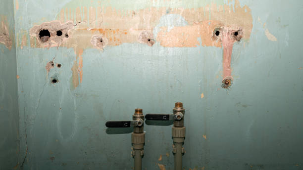 Best Emergency water damage restoration  in Mangonia Park, FL