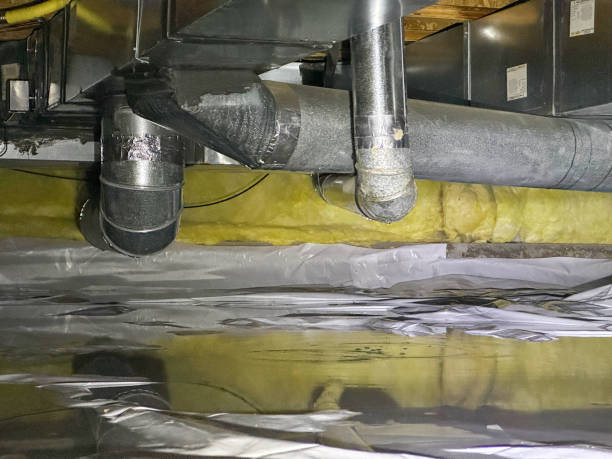 Best Mold removal after water damage  in Mangonia Park, FL