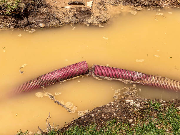 Best 24-hour water damage restoration  in Mangonia Park, FL