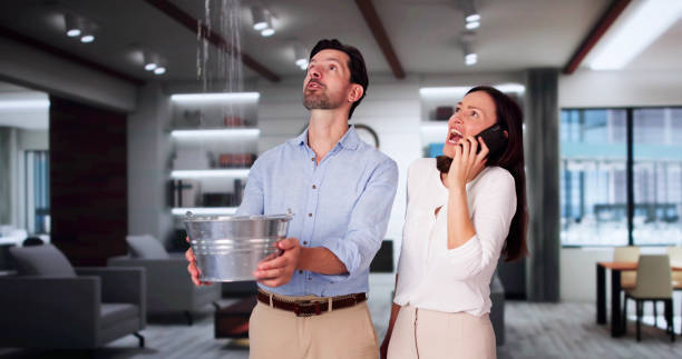 Best Carpet water damage restoration  in Mangonia Park, FL